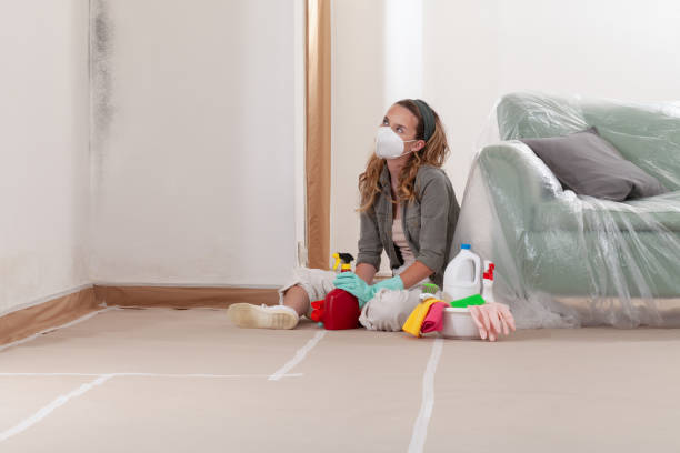 Reliable Mold Remediation contractor in Stafford, VA by WQB Mold Removal